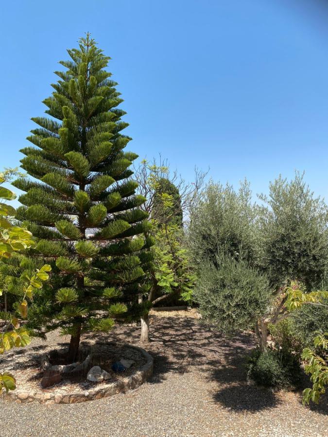 B&B Casa Oceo - Malaga - Andalusie อาเลาริน เดลา ตอร์เร ภายนอก รูปภาพ