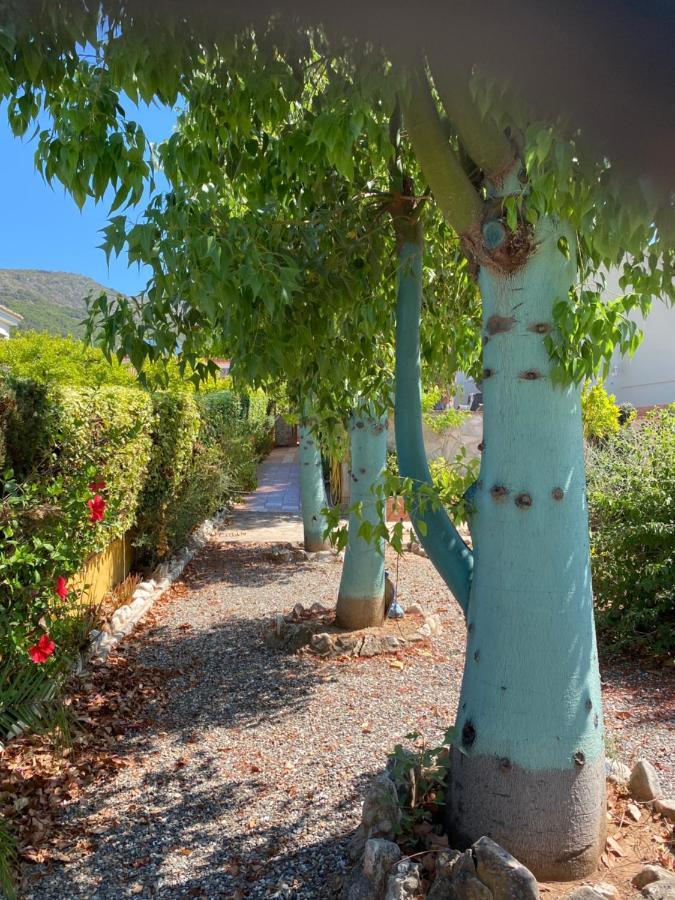 B&B Casa Oceo - Malaga - Andalusie อาเลาริน เดลา ตอร์เร ภายนอก รูปภาพ