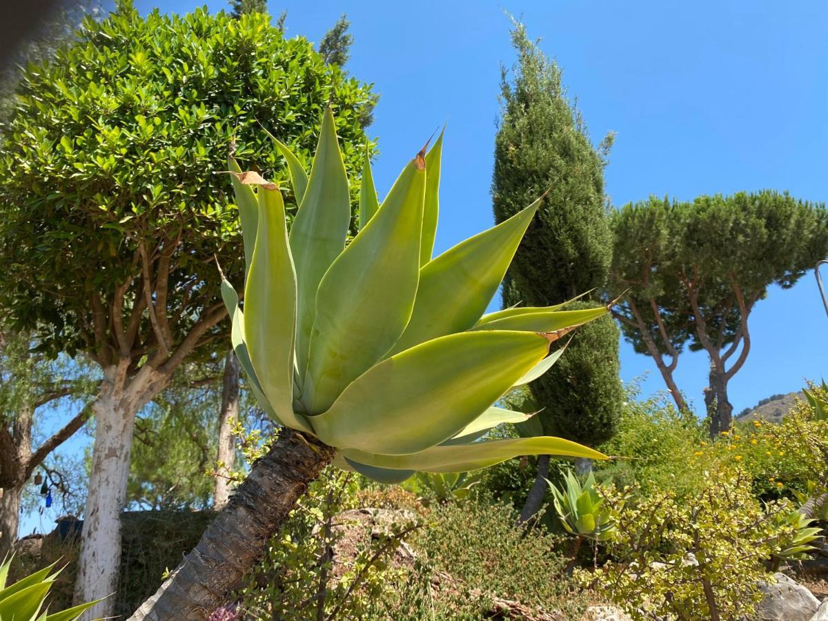 B&B Casa Oceo - Malaga - Andalusie อาเลาริน เดลา ตอร์เร ภายนอก รูปภาพ