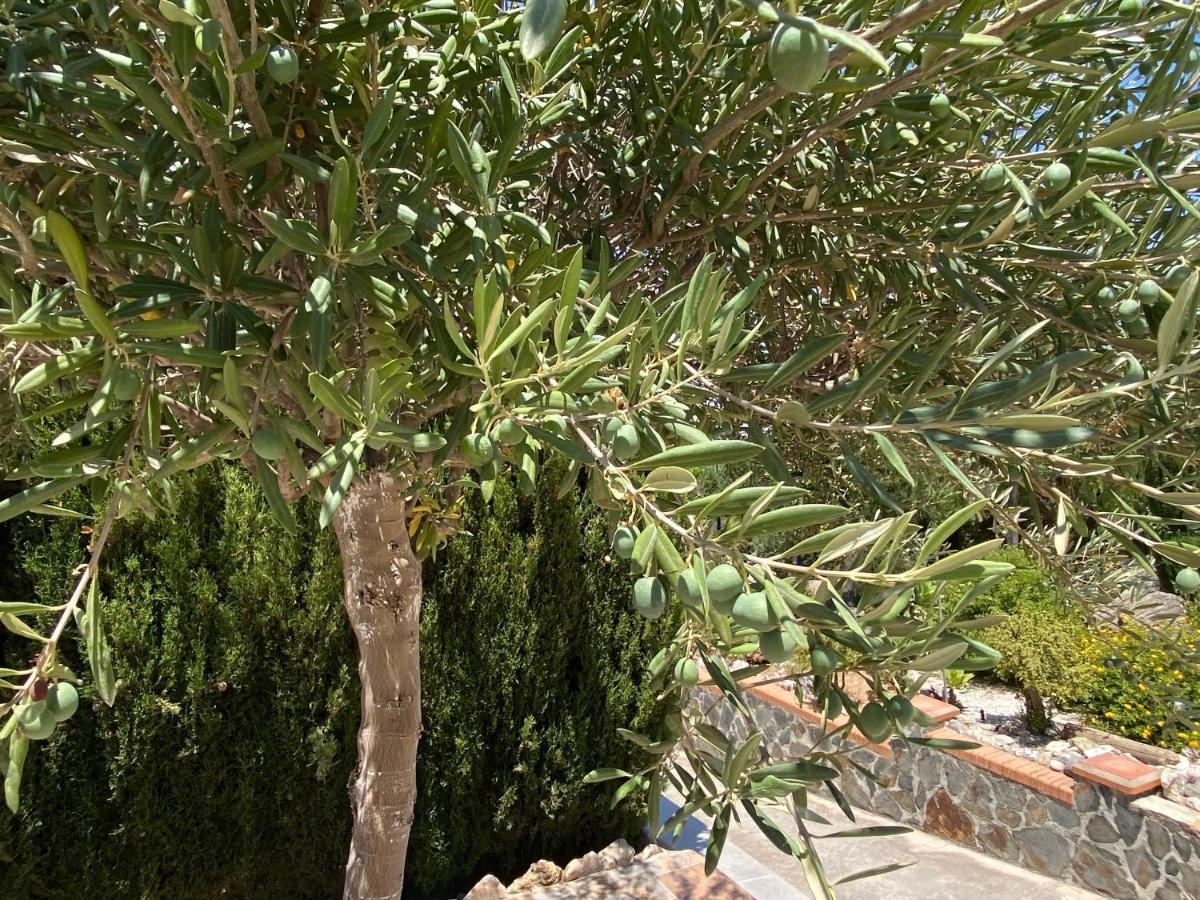 B&B Casa Oceo - Malaga - Andalusie อาเลาริน เดลา ตอร์เร ภายนอก รูปภาพ